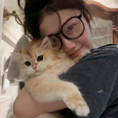 鄂尔多斯骑士 海报